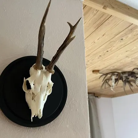 Juri Hochkrimml Apartment Nothdorf