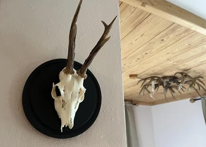 Apartman Juri Hochkrimml *